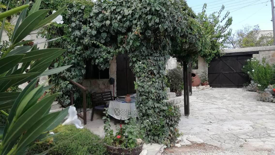 Loxandra Inn Kathikas Bagian luar foto